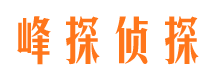 白城市调查公司